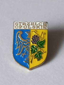 Herb miasta Strzelce Opolskie pin metaliczna 