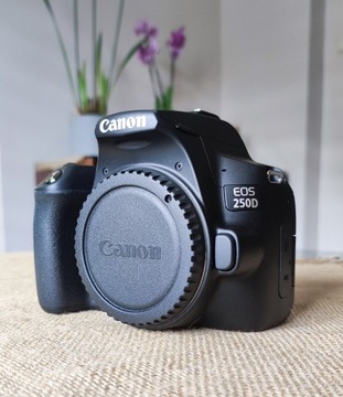 Canon 250D + obiektyw, 18-55 IS STM EF-S NOWY