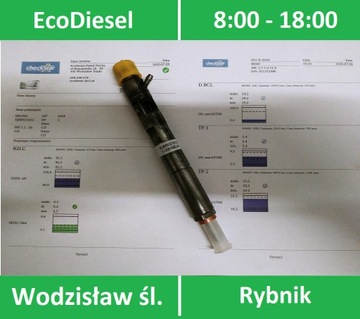 Wtryski Wtryskiwacze EJBR02101Z Renault 1.5dCi