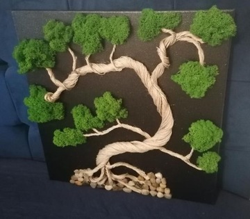 Drzewko bonsai z mchu alpejskiego