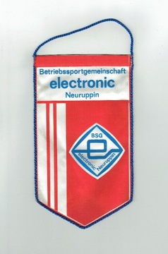 Proporczyk DDR BSG Elektronic Neuruppin