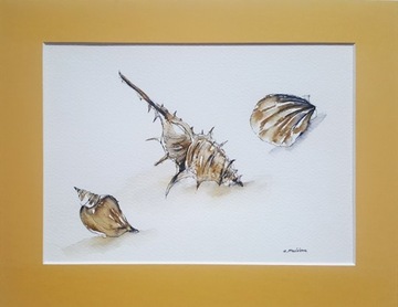 Obraz ręcznie malowany muszelki morskie