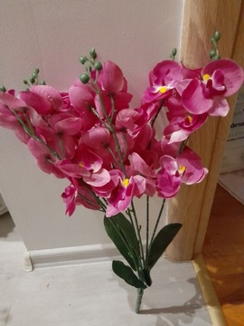 Kwiat orchidei gałązka 