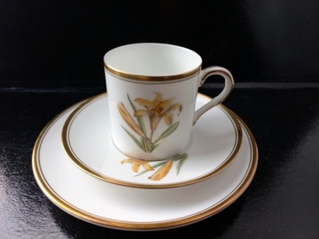 Trio filiżanka Royal Worcester Bone China 