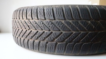 Opony zimowe Debica Frigo 2 - 195/65R15 91T M+S