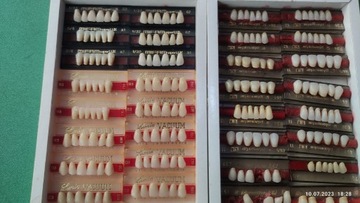 Protetyka, Zęby do protez - Różne