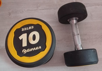 Hantle Gipara 2x10kg