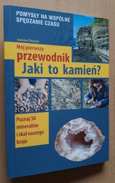 Jaki to kamień – Radosław Żbikowski