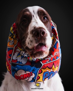 SNOOD bawełniany BOOM Hug me Springer Cocker