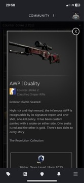 AWP Duality BS - CSGO