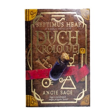 Septimus Heap, Duch Królowej - Angie Sage (02)