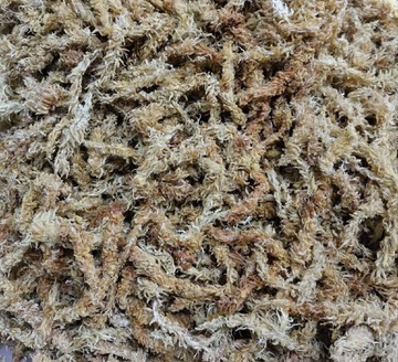 Mech torfowiec sphagnum 1 litr anthurium, monstera