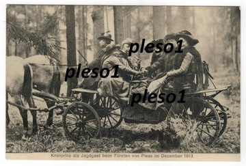 Pszczyna Pless polowanie Koronprinz 1913