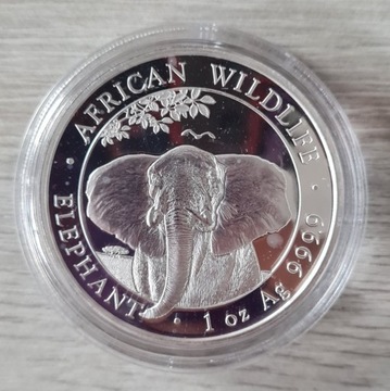 African Wildlife Elephant - 100 Szylingów 2021r.