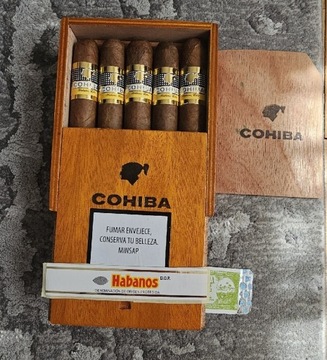 Kolekcjonerskie pudełko Cohiba Robustos