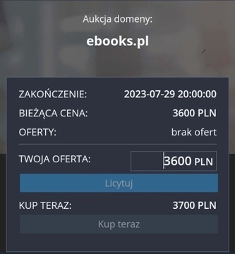 Domena na sprzedaż Ebooks.pl
