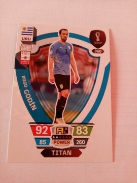 Fifa World cup Qatar 2022 DIEGO GODIN 360