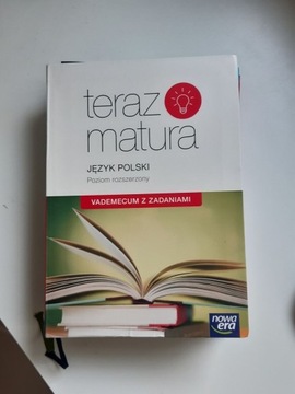 Teraz matura vademecum język polski