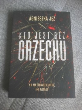 Książka "Kto jest bez grzechu" Agnieszka Jeż 