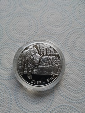 Moneta 20 zł 2013 r Żubr 