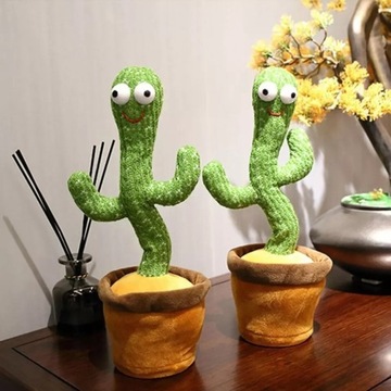 Tańczący Kaktus WIELE SZTUK