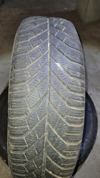 Continental ContiWinterContact TS830P 195/65/16r