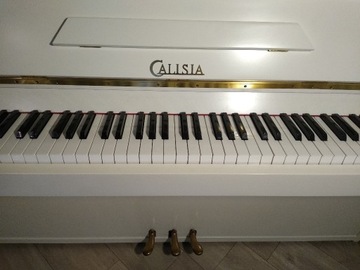 Pianino Calisia M-105 Nocturno