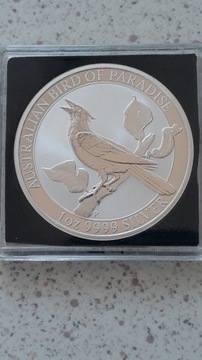 Manucodia rajski ptak Australia 1$ 2019 1 oz