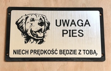 Tabliczka ostrzegawcza uwaga zły pies