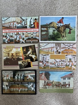 Konie pocztówki 6 szt