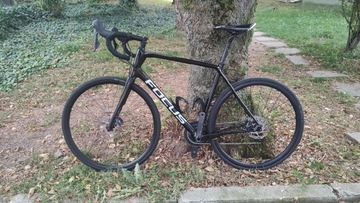 Rower Focus Paralane Roz. L Szosa Carbon Ultegra