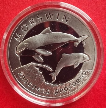20 zł Morświn 2004 r, srebro 925 ,mennicza