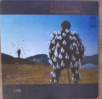 PINK FLOYD: Delicate Sound of Thunder; Melodia; NM