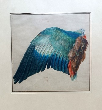 A. Dürer, Wing of a Blue Roller, Museum Albertina 
