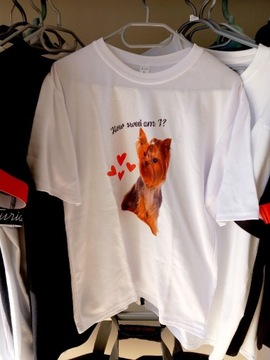 Koszulka t-shirt York pies damska rozmiar L oversize pies latl