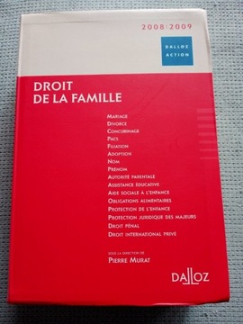 Droit de la famille 2008/2009