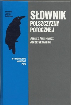 Słownik polszczyzny potocznej 