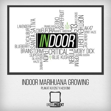 Plakat Indoor Marihuana Growing - rozmiar a3