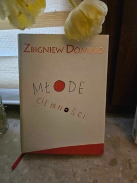 Książka "nowe ciemności" Z. Domino nowa