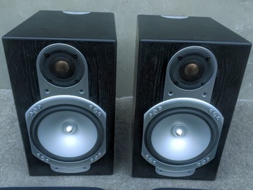 Monitor Audio Silver RS1 lepsze od Bronze 2 50 