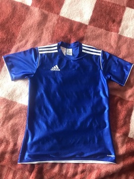 T-shirt męski Adidas ,oryginalny !