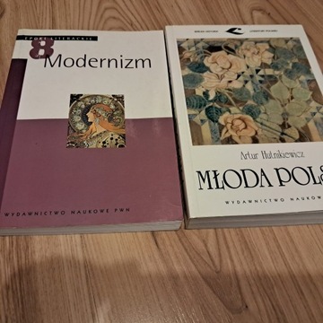 Młoda Polska Wielka Historia Literatury Polskiej