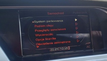 Polskie Menu Mapy Audi VW Mapy 3g MMI