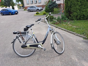 Gazelle elektryczny