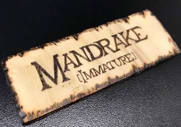 Plakietka drewno Mandrake Mandragora Harry Potter