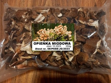 Suszone grzyby OPIEŃKA MIODOWA 1kg. Atest