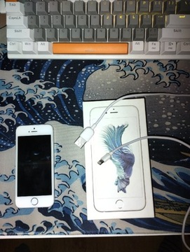 iPhone 5s Silver 16 GB 100% kondycji baterii