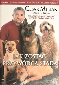 Jak zostać przywódcą stada Cesar Millan