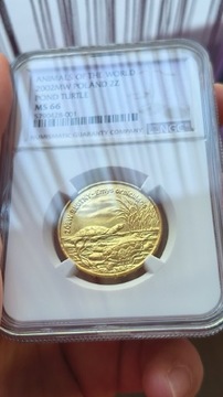 2 zł 2002 Żółw NGC MS 66 Super kolor i połysk !