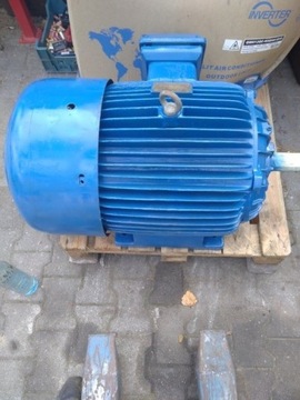 Silnik elektr. 45 KW 2860 obr/min CELMA